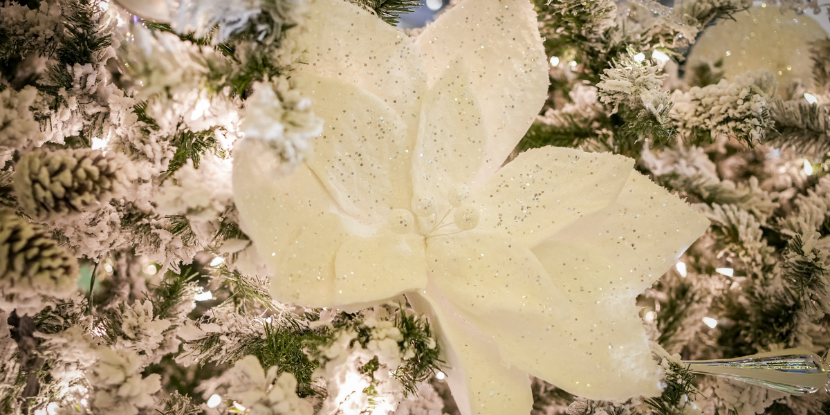 WHITE GLITTER POINSETTIA