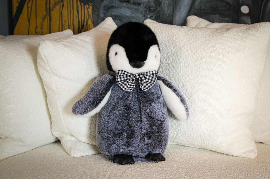 Baby Penguin