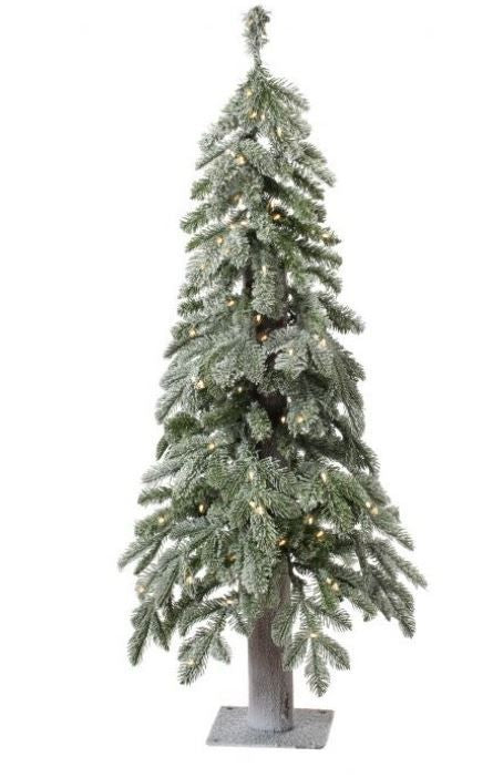 WINTER FROST ALPINE TREE
