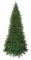 LED SLIM BELGIUM TREE 9' 49"D 650L 1491T