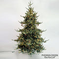 Carolina Spruce Tree 9.5', 2384 Tips, 1150 Lights
