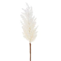 36" Pampas Grass Stem