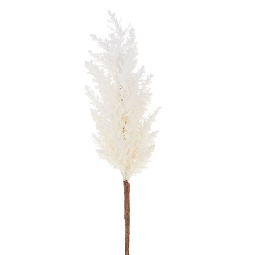 36" Pampas Grass Stem