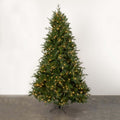 Carolina Spruce Tree 9.5', 2384 Tips, 1150 Lights