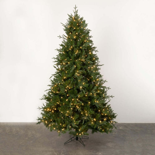 Carolina Spruce Tree 9.5', 2384 Tips, 1150 Lights