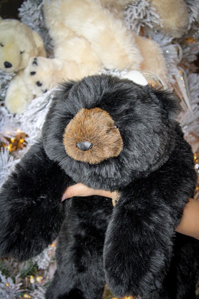 Black Teddy Bear