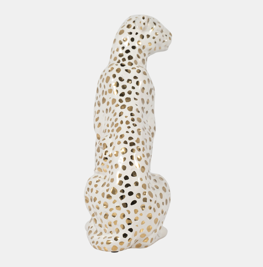 Sitting Leopard