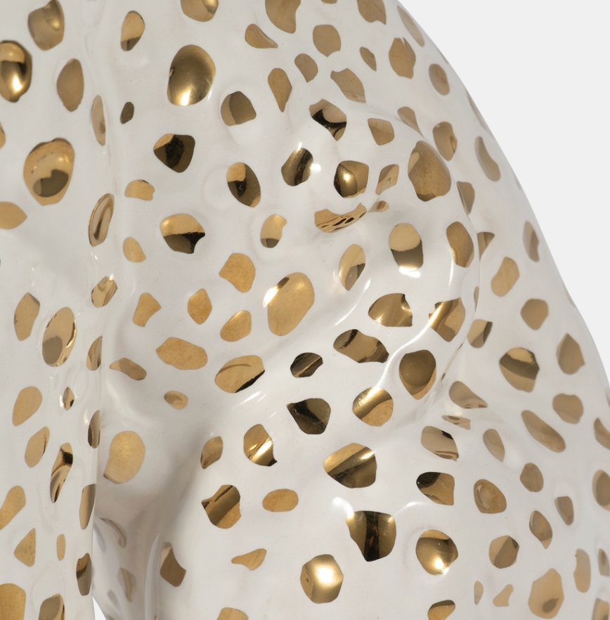 Sitting Leopard