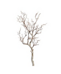 30" Manzanita Branch