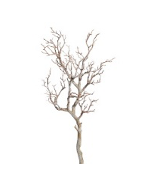30" Manzanita Branch