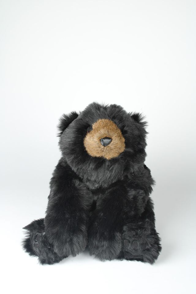 Black Teddy Bear