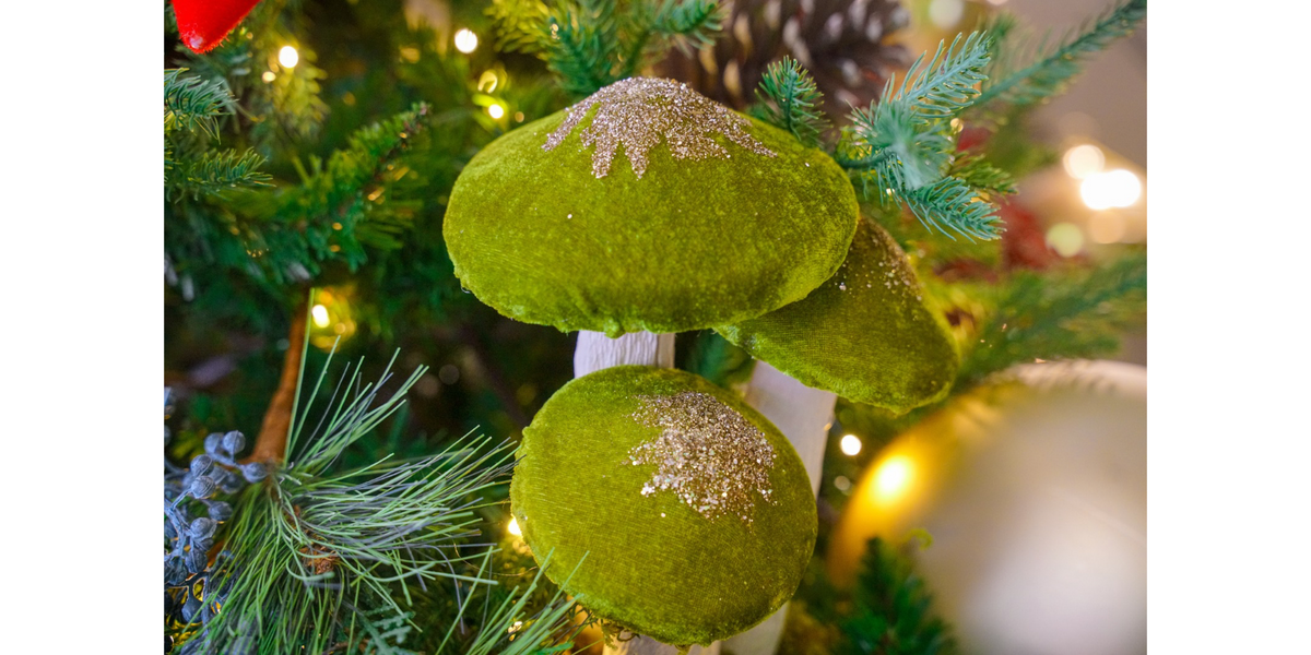 green mushroom clusters