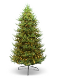 10 Foot Pre Lit LED Christmas Tree w/6094 Tips