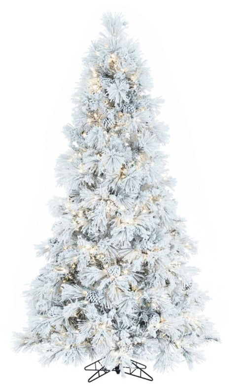 Pino Nevado