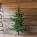 Nouveau Noble Fir Tree 7.5', With Dimmer Switch