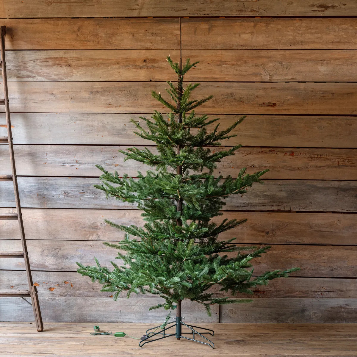Nouveau Noble Fir Tree 7.5', With Dimmer Switch
