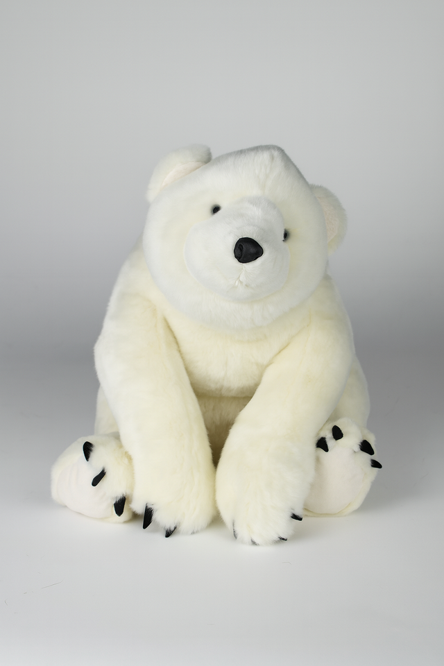Polar Teddy Bear