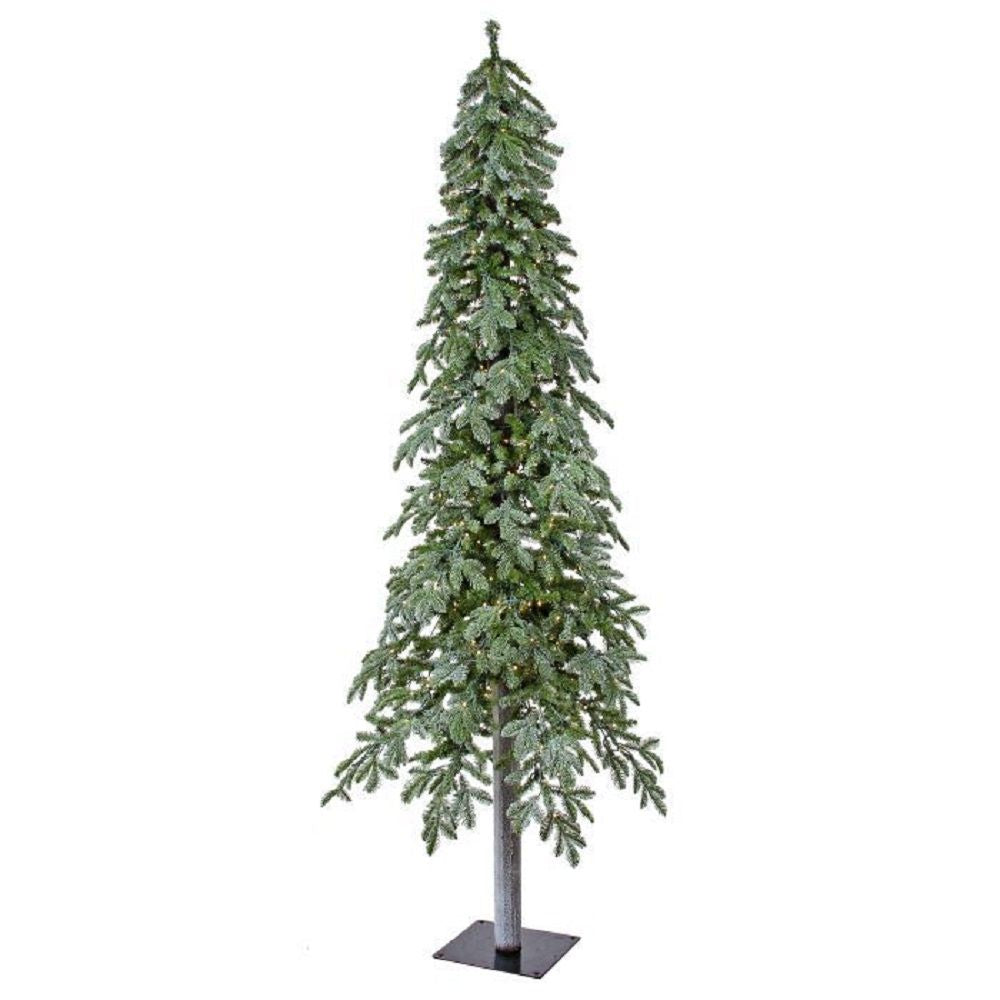 WINTER FROST ALPINE TREE